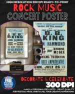 Bb King 1 Music Rock Concert Poster Wall Art