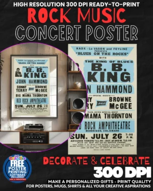 Bb King 1 Music Rock Concert Poster Wall Art