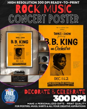 Bb King 2 Music Rock Concert Poster Wall Art