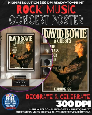 David Bowie 2 Music Rock Concert Poster Wall Art