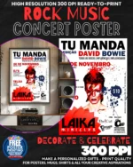 David Bowie 13 Music Rock Concert Poster Wall Art