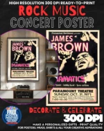 James Brown 2 Music Rock Concert Poster Wall Art