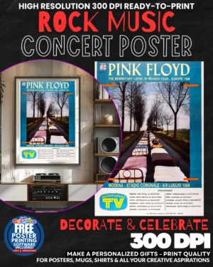 Pink Floyd 21 Music Rock Concert Poster Wall Art