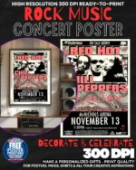 Red Hot Chili Peppers 2 Music Rock Concert Poster Wall Art