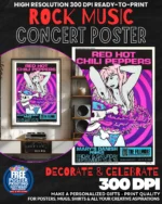 Red Hot Chili Peppers 4 Music Rock Concert Poster Wall Art