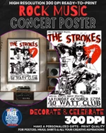 The Strokes 1 Music Rock Concert Poster Wall Art