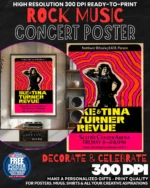 Tina Turner 1 Music Rock Concert Poster Wall Art