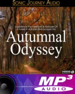 Autumnal Odyssey