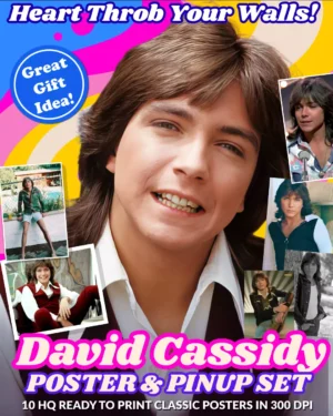 David Cassidy Posters & Pinup Set