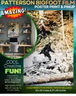 Patterson Bigfoot Film Poster Print & Pinup